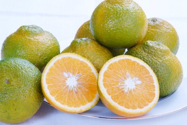 画像1: 【12月上旬頃から】スイートスプリング　5kg (1)