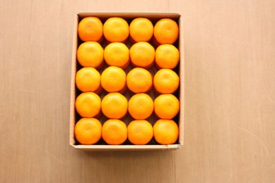 画像1: 特選完熟みかん9ｋｇ