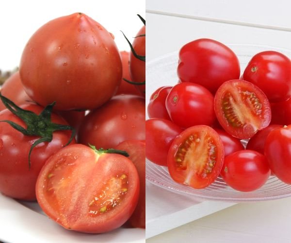 画像1: 塩トマトとフルーツトマトの詰合せ　 (1)