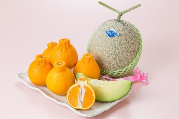 画像1: 【12月中旬から】マスクメロン１玉・不知火（しらぬい）３〜４個 (1)