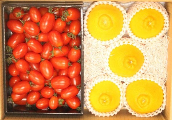 画像1: フルーツトマト＆不知火 (1)