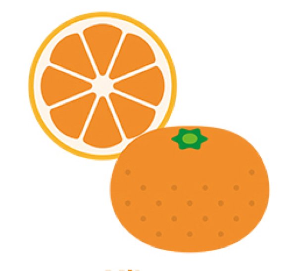 画像1: 家庭用完熟みかん１０ｋｇ (1)