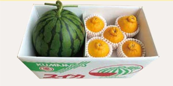 画像1: 【12月中旬から】スイカ＆不知火（しらぬい） (1)