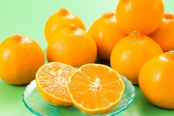 画像1: 【2月中旬から】アンコールポンカン５ｋｇ　 (1)