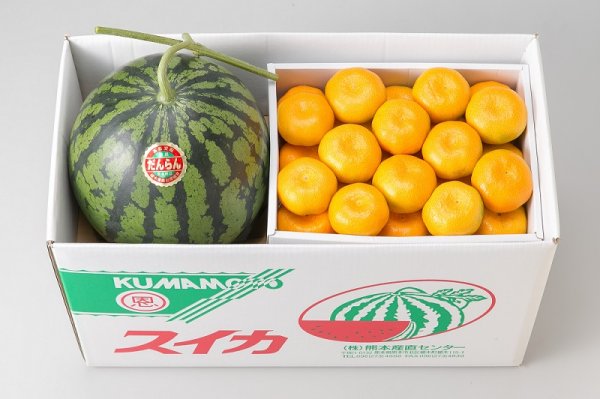 画像1: スイカ１玉・ハウスミカン２.３kg (1)