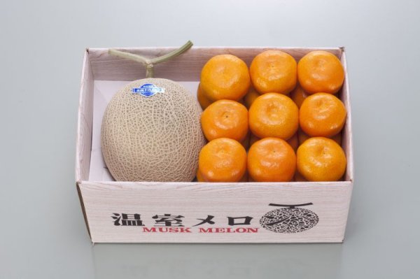 画像1: 【9月中旬〜】マスクメロン１玉・極早生みかん２kg (1)