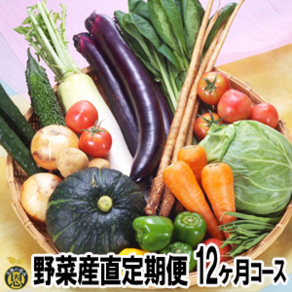 画像1: 野菜産直定期便　１２ヶ月コース (1)