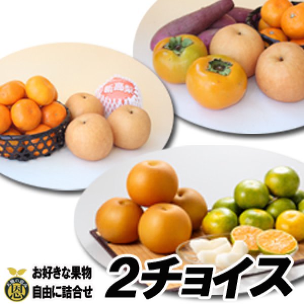 画像1: ２チョイス　選べるギフト (1)