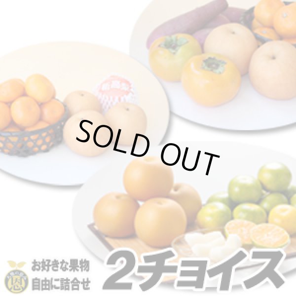 画像1: ２チョイス　選べるギフト (1)