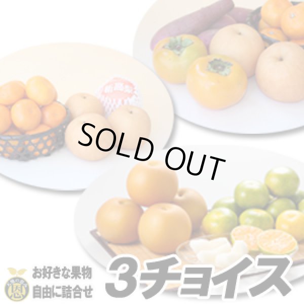 画像1: ３チョイス　選べるギフト (1)