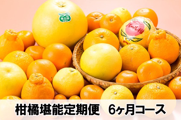 画像1: 旬の柑橘堪能定期便　6ヶ月コース (1)