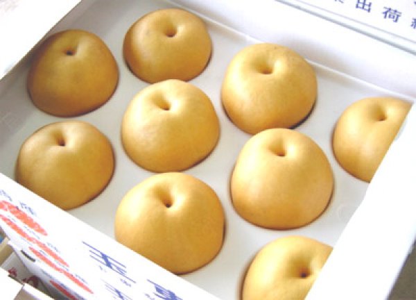 画像2: 梨（豊水・秋月）　５ｋｇ (2)