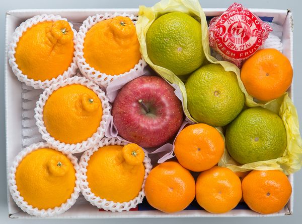 【12月中旬から】冬ギフト（Ｂ）　