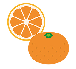 家庭用完熟みかん5ｋｇ