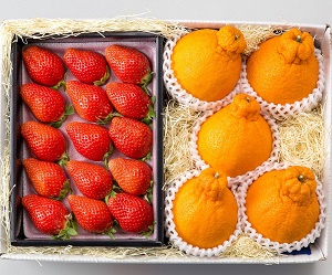 【12月中旬から】いちご・不知火（しらぬい）