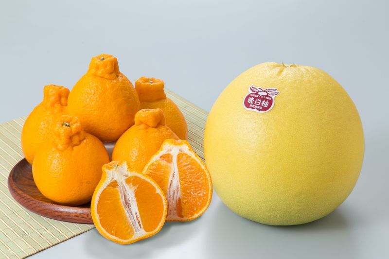 【12月中旬から】晩白柚＆不知火（しらぬい）